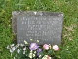 image of grave number 244218